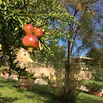 Podere Il Pero Bed & Breakfast Siena