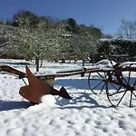 Podere Il Pero Bed & Breakfast