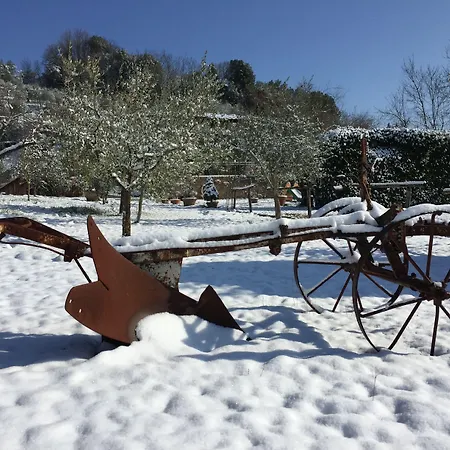 Podere Il Pero Bed & Breakfast