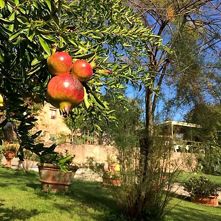 Podere Il Pero Nocleg ze śniadaniem