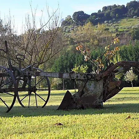 Podere Il Pero