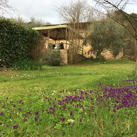 Podere Il Pero סיינה