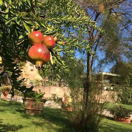 Podere Il Pero לינה וארוחת בוקר סיינה