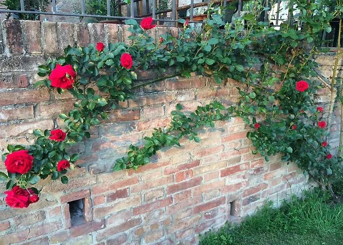 Bed & Breakfast Podere Il Pero 4*