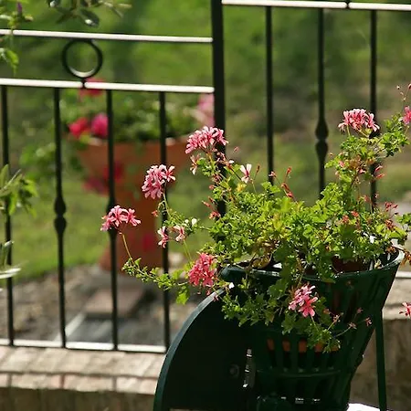 Bed & Breakfast Podere Il Pero