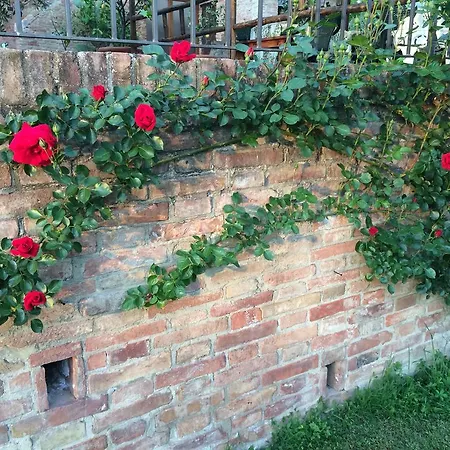 Bed & Breakfast Podere Il Pero 4*