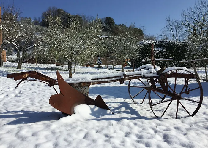 Podere Il Pero Bed & Breakfast