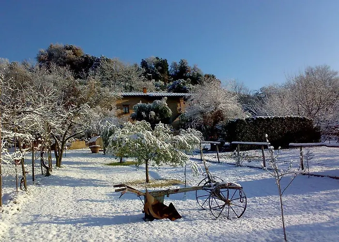 Podere Il Pero Сиена