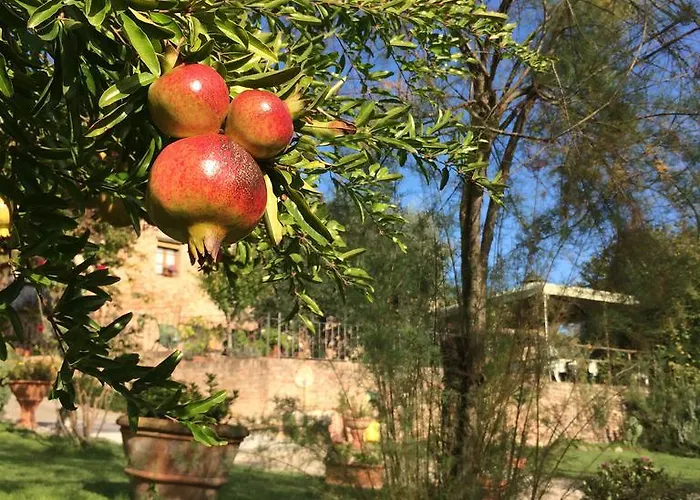 Podere Il Pero Отель типа 